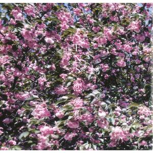 盐娍仪器仪表生产厂家用小羊营销导航
